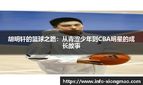 熊猫体育