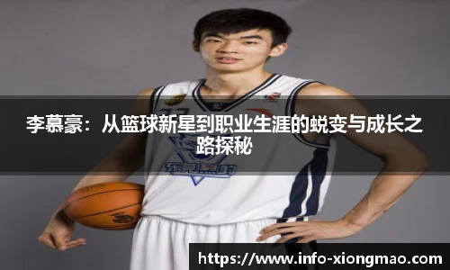熊猫体育官网