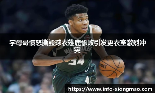 熊猫体育登录入口