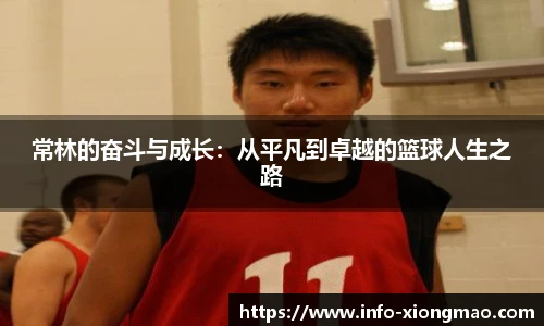 熊猫体育登录入口