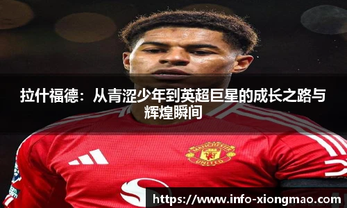 熊猫体育官网